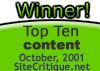 sitecritiquewinner.gif (4231 bytes)